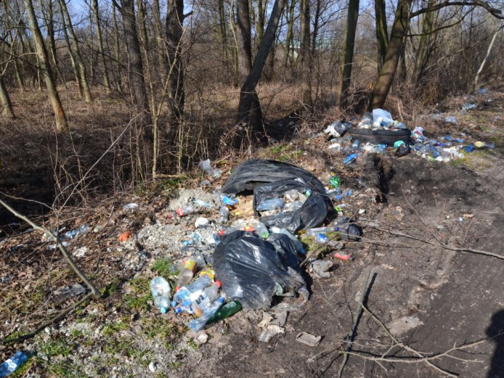Kierowcy urządzili sobie śmietnisko przy wiadukcie w Tarnobrzegu-Nagnajowie. Obraz nędzy i rozpaczy [zdjęcia]