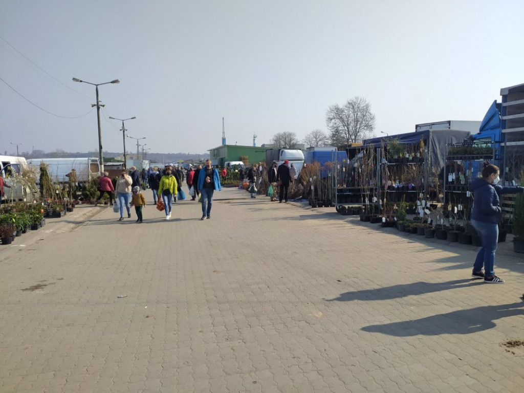 Na giełdzie w Sandomierzu czuć święta. Choć są też pustki [zdjęcia]