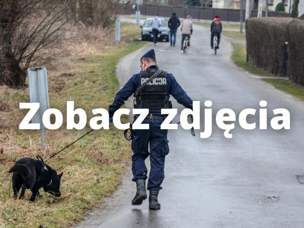 Zderzenie samochodu z szynobusem w Tarnobrzegu. Trwają poszukiwania kierowcy [zdjęcia]