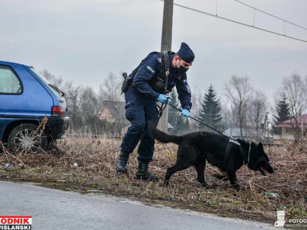 Zderzenie samochodu z szynobusem w Tarnobrzegu. Trwają poszukiwania kierowcy [zdjęcia]
