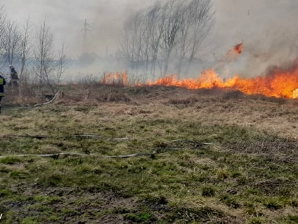 Spory pożar w gminie Nowa Dęba, osiem zastępów w akcji [zdjęcia]