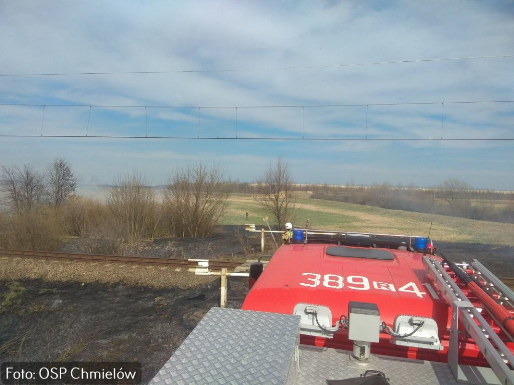 Spory pożar w gminie Nowa Dęba, osiem zastępów w akcji [zdjęcia]