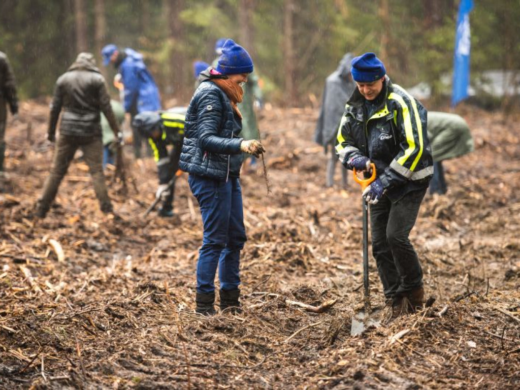 Posadzili 8 tysięcy drzew! Wyjątkowa akcja w gminie Rytwiany