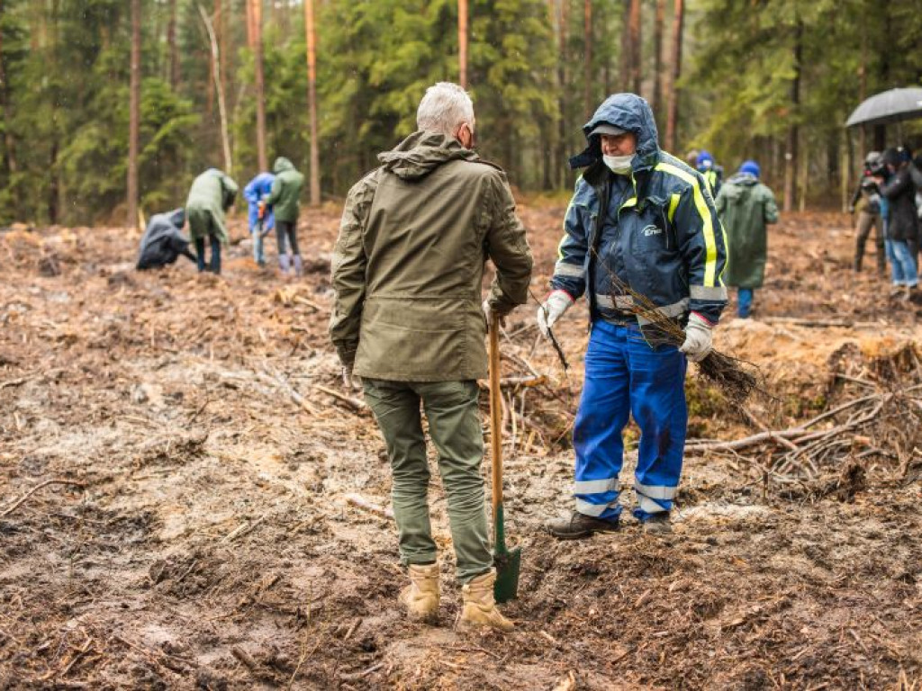 Posadzili 8 tysięcy drzew! Wyjątkowa akcja w gminie Rytwiany