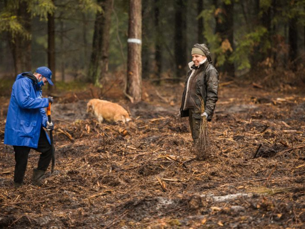 Posadzili 8 tysięcy drzew! Wyjątkowa akcja w gminie Rytwiany
