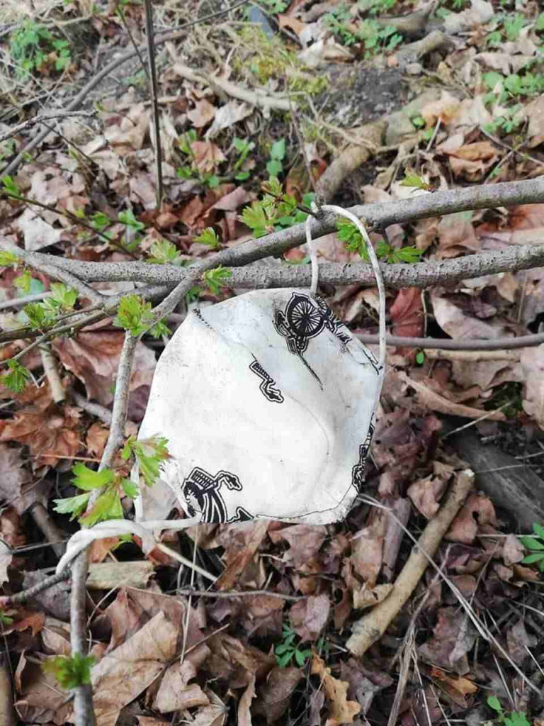 Dzień Ziemi w Tarnobrzegu. Posprzątali park i powiesili budki dla ptaków [zdjęcia]