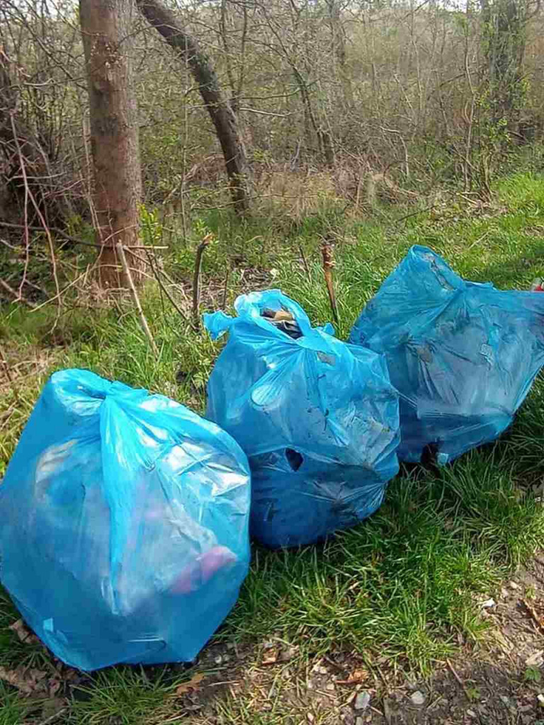Dzień Ziemi w Tarnobrzegu. Posprzątali park i powiesili budki dla ptaków [zdjęcia]