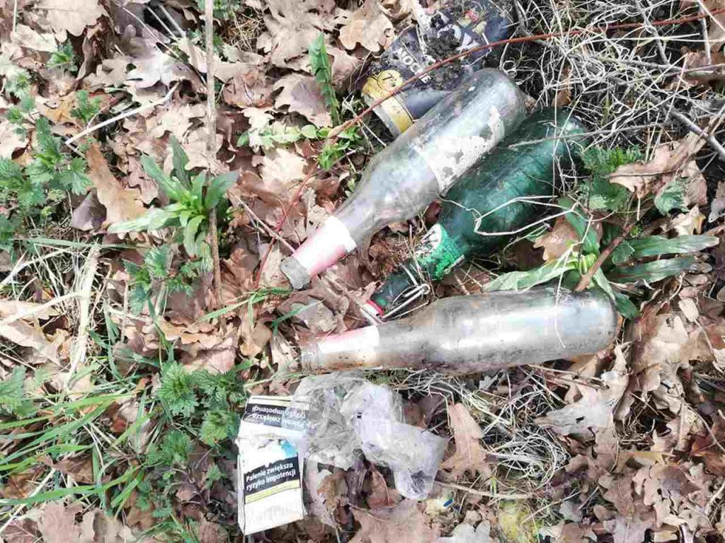 Dzień Ziemi w Tarnobrzegu. Posprzątali park i powiesili budki dla ptaków [zdjęcia]