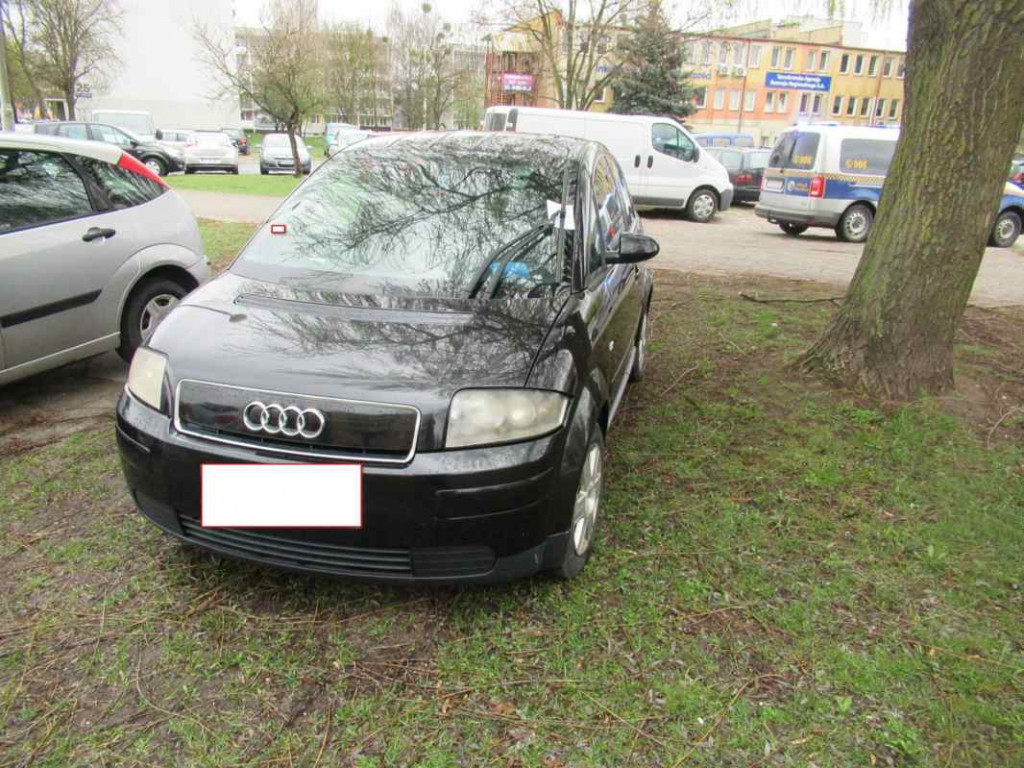 Chodniki, trawniki, miejsca zabronione - tam parkują kierowcy w Tarnobrzegu [zdjęcia]