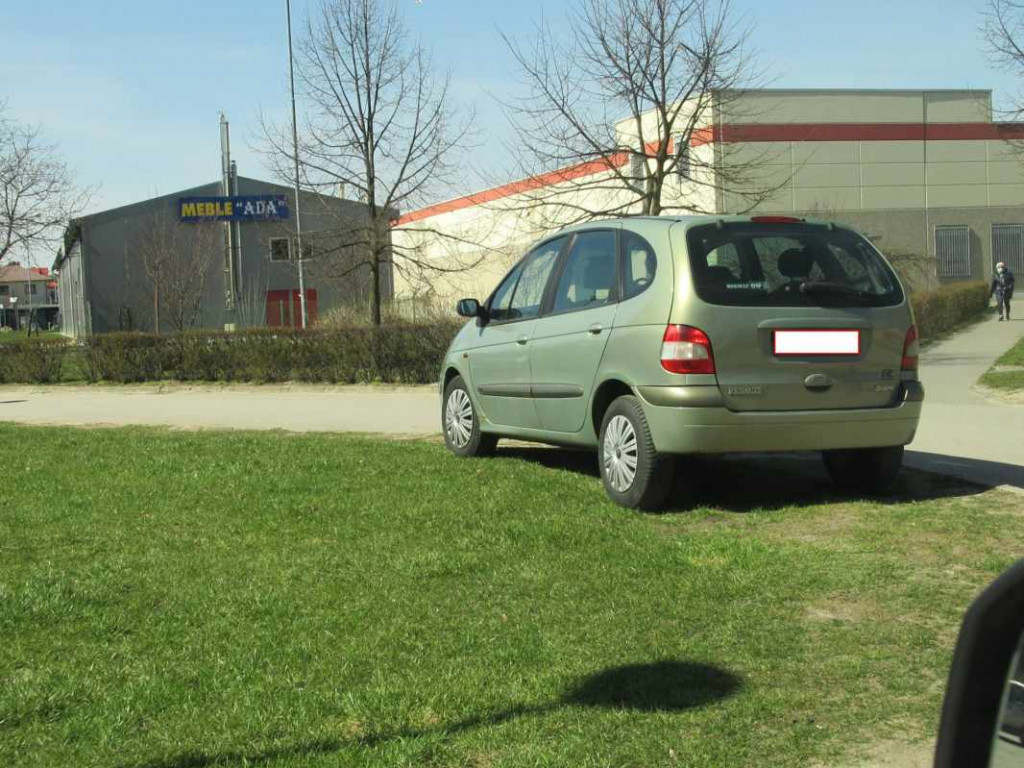 Chodniki, trawniki, miejsca zabronione - tam parkują kierowcy w Tarnobrzegu [zdjęcia]