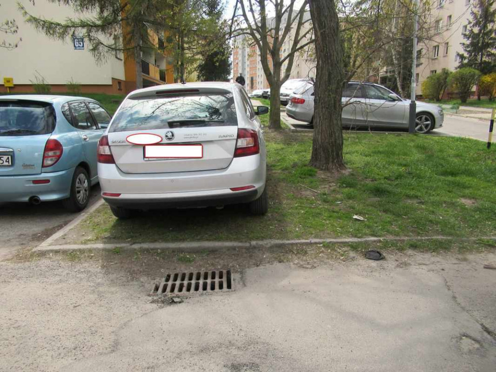 Poznajcie kolejnych 