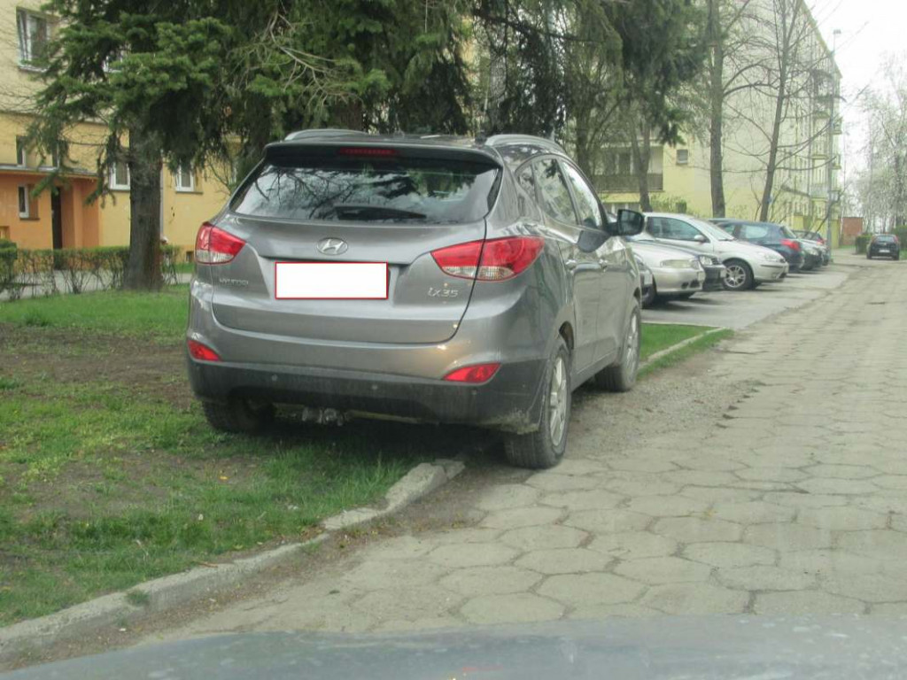 Poznajcie kolejnych 