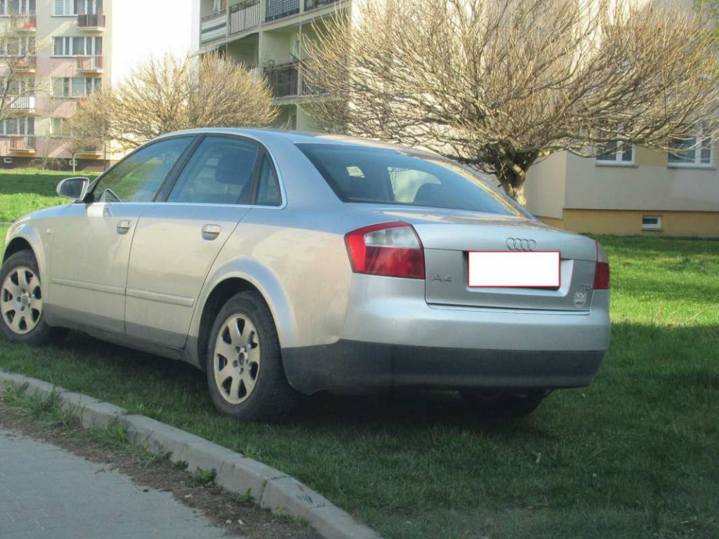 Poznajcie kolejnych 