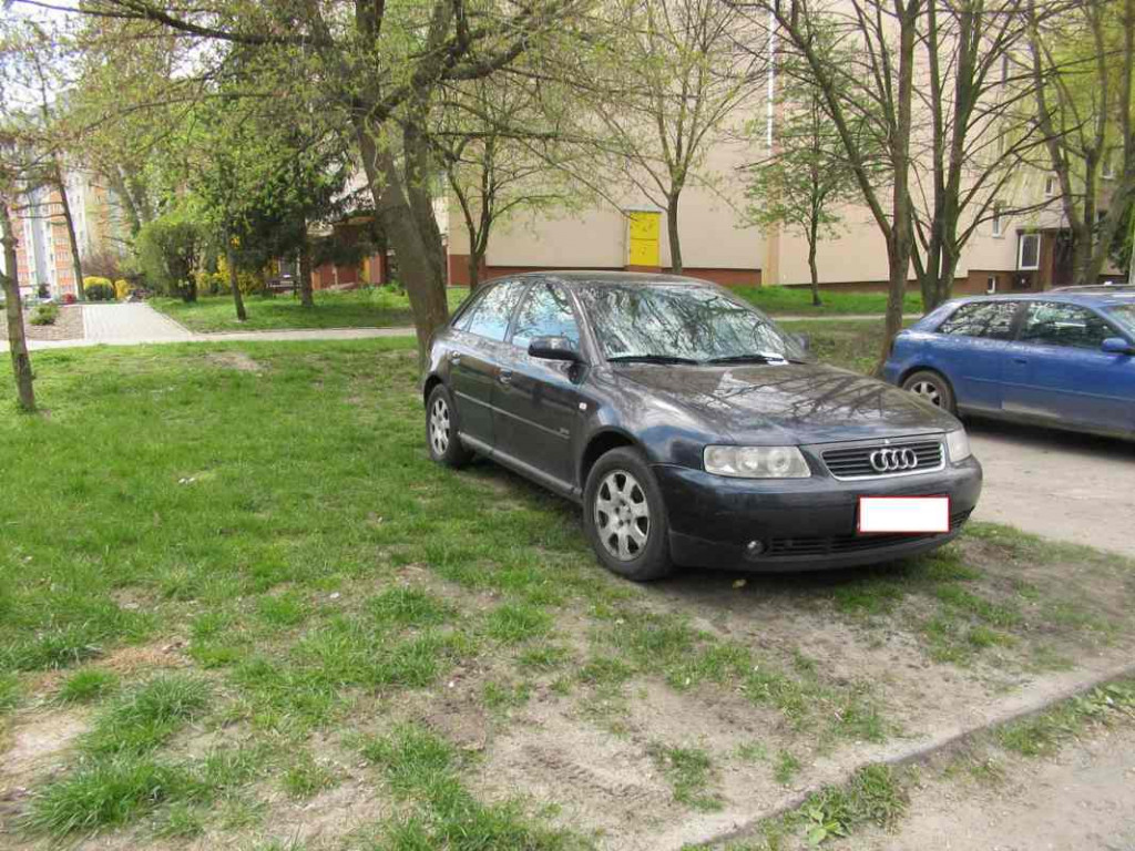Poznajcie kolejnych 