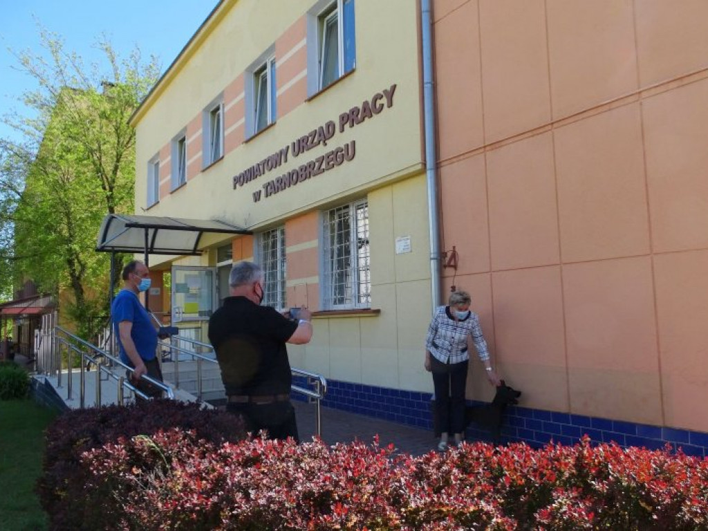 Zabawne poidełka dla zwierząt stanęły przed starostwem i urzędem pracy w Tarnobrzegu [zdjęcia]