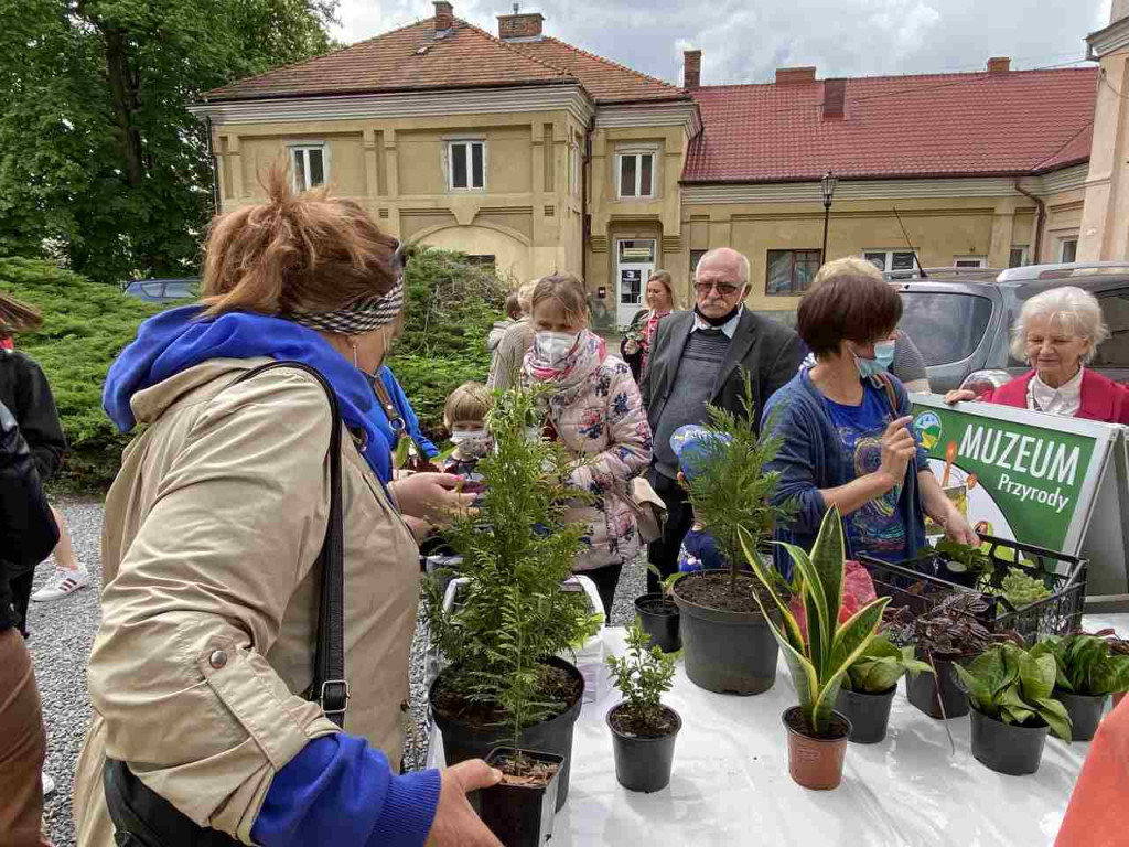 W Tarnobrzegu trwa I edycja Kwiatowymiany [zdjęcia]