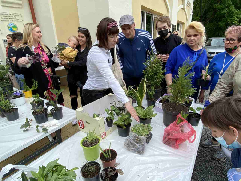 W Tarnobrzegu trwa I edycja Kwiatowymiany [zdjęcia]