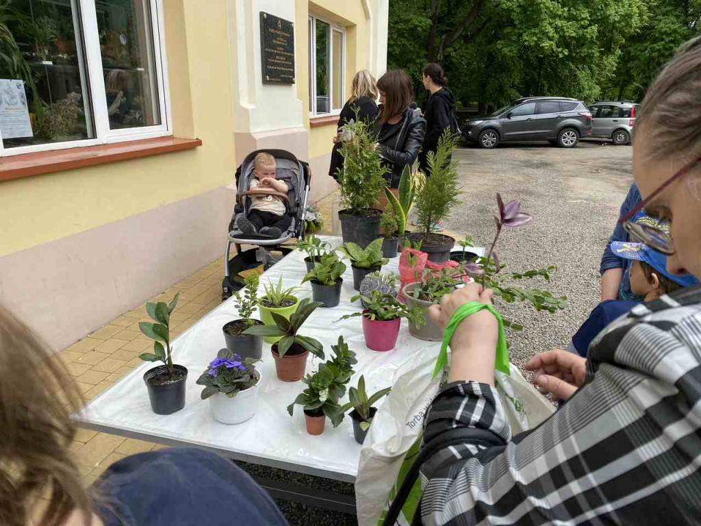W Tarnobrzegu trwa I edycja Kwiatowymiany [zdjęcia]