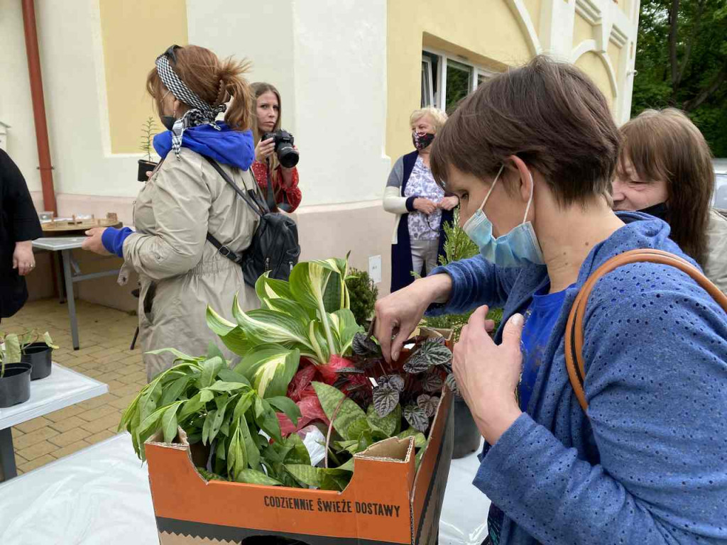 W Tarnobrzegu trwa I edycja Kwiatowymiany [zdjęcia]