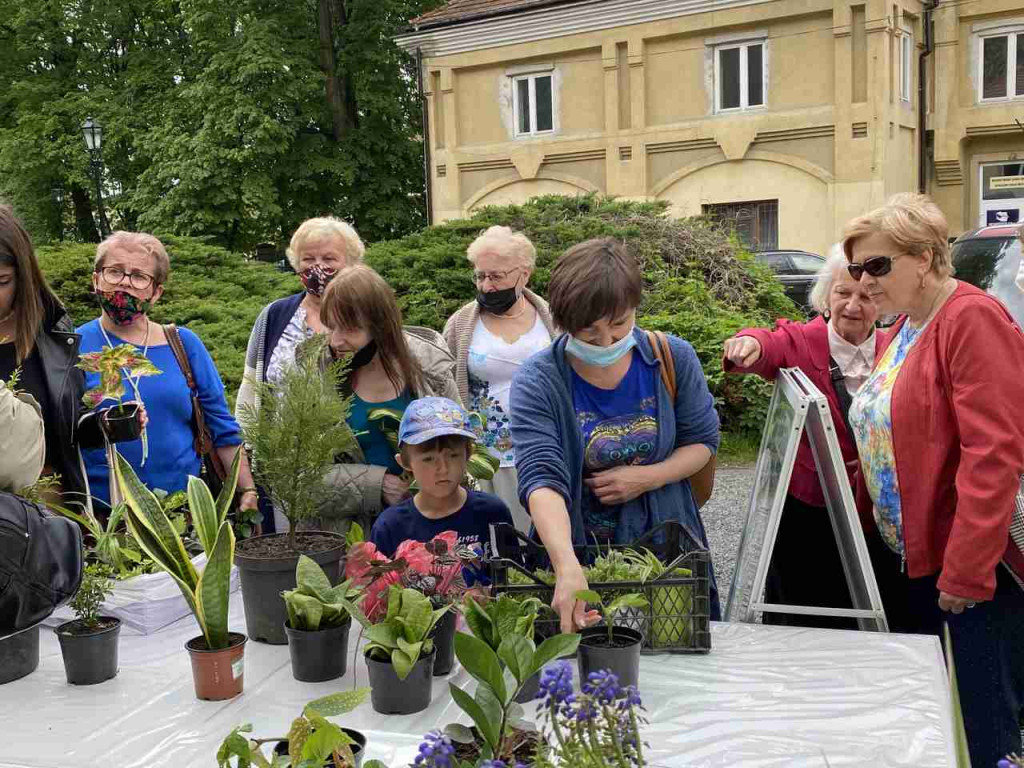W Tarnobrzegu trwa I edycja Kwiatowymiany [zdjęcia]