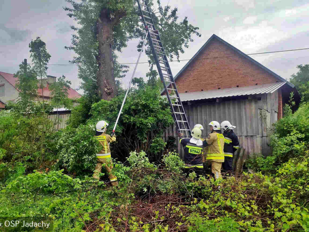 Strażacy z Jadachów w gminie Nowa Dęba pomogli bocianiej rodzinie [zdjęcia]