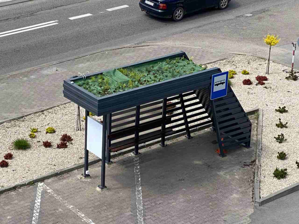 Opatów. Przy starostwie powiatowym stanął pierwszy zielony przystanek [zdjęcia]