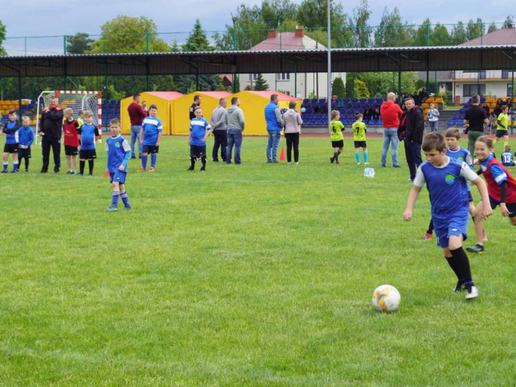 Piknik charytatywny dla Diany w Baranowie Sandomierskim [zdjęcia]
