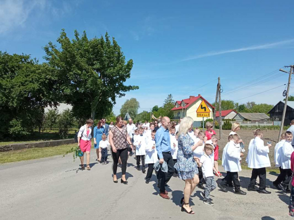 Procesja Bożego Ciała w Goźlicach w gminie Klimontów [zdjęcia]