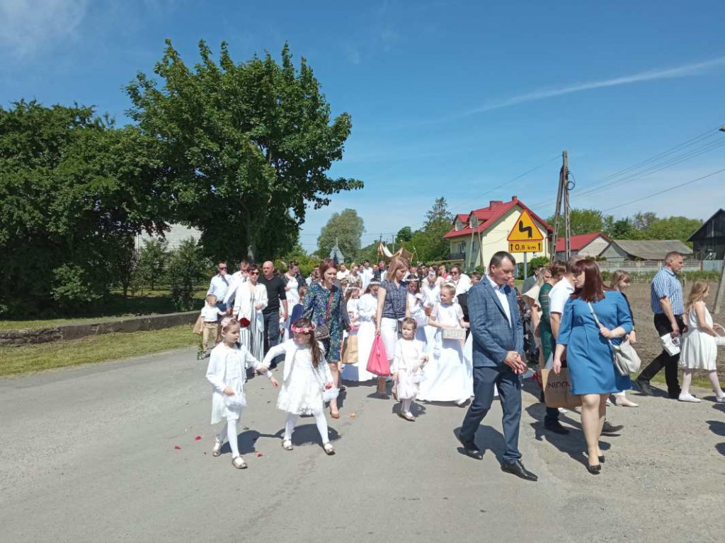 Procesja Bożego Ciała w Goźlicach w gminie Klimontów [zdjęcia]