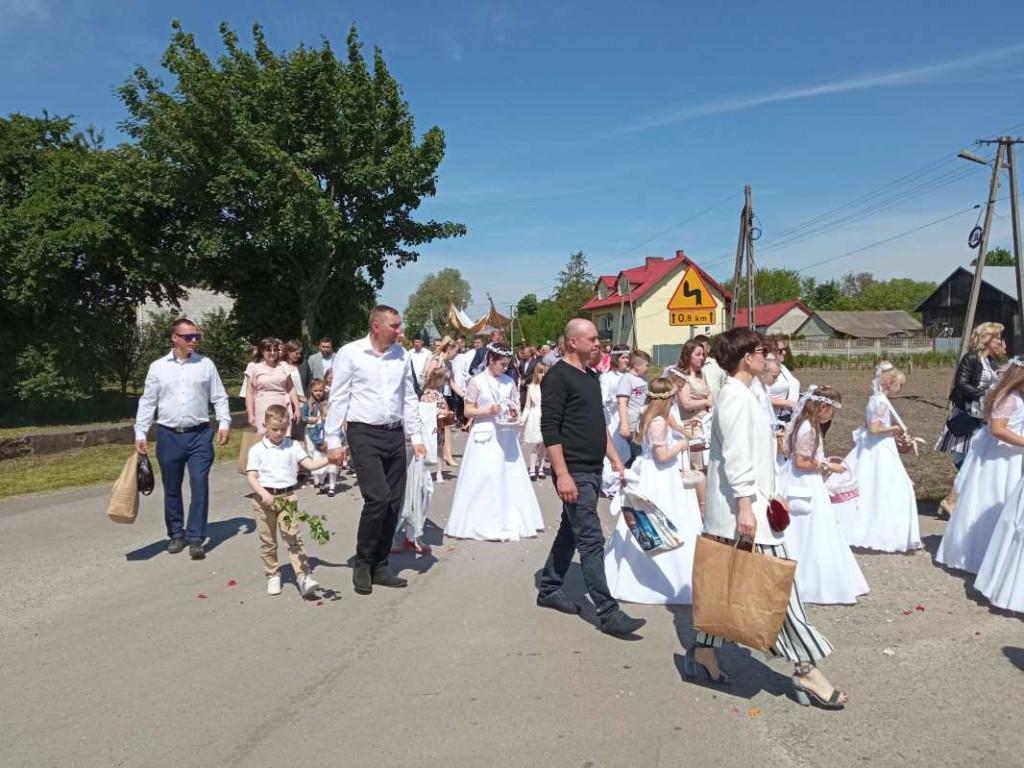 Procesja Bożego Ciała w Goźlicach w gminie Klimontów [zdjęcia]
