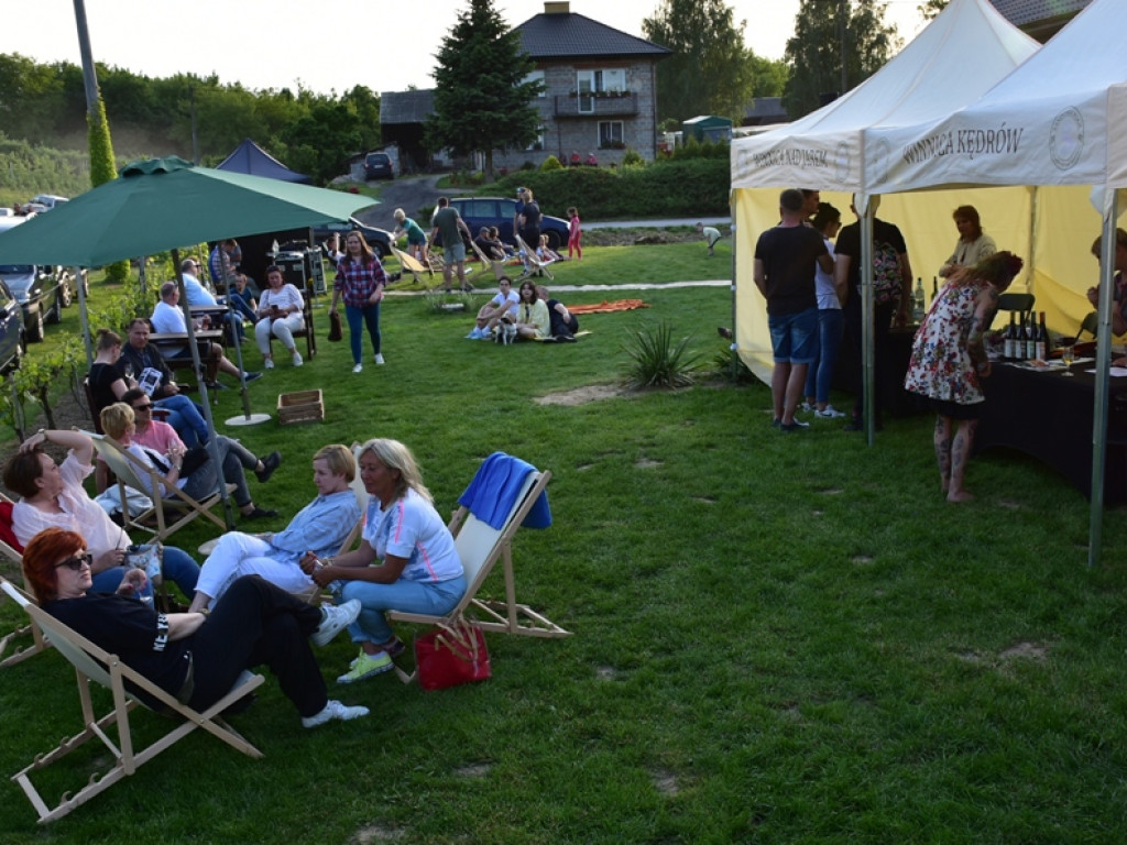 Gmina Samborzec. Winiarze zapraszają na piknik do Milczan [zdjęcia]