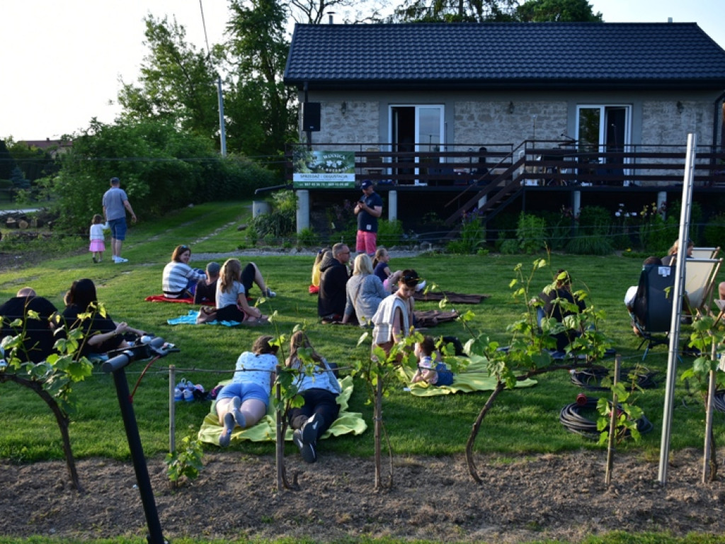 Gmina Samborzec. Winiarze zapraszają na piknik do Milczan [zdjęcia]