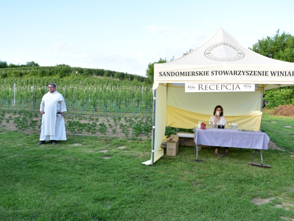 Gmina Samborzec. Winiarze zapraszają na piknik do Milczan [zdjęcia]