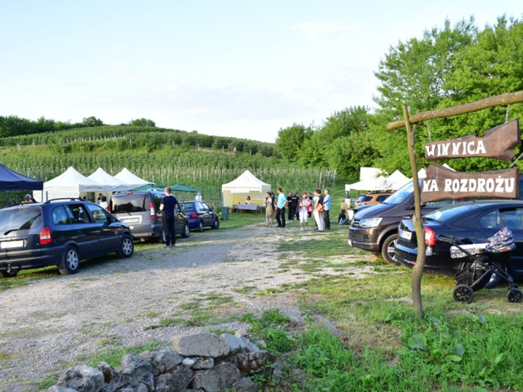 Gmina Samborzec. Winiarze zapraszają na piknik do Milczan [zdjęcia]