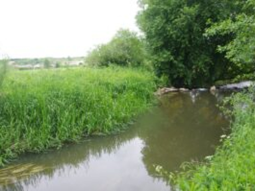 Kajakiem po Koprzywiance. Przygotowania do uruchomienia spływów już ruszyły [zdjęcia]