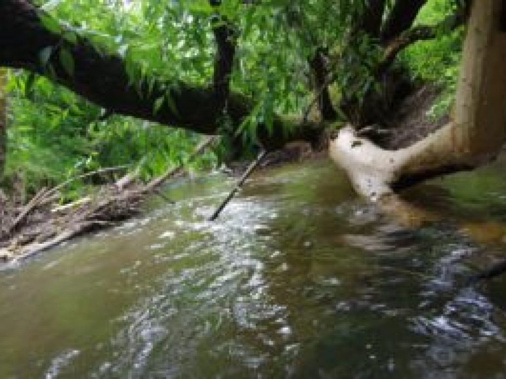 Kajakiem po Koprzywiance. Przygotowania do uruchomienia spływów już ruszyły [zdjęcia]