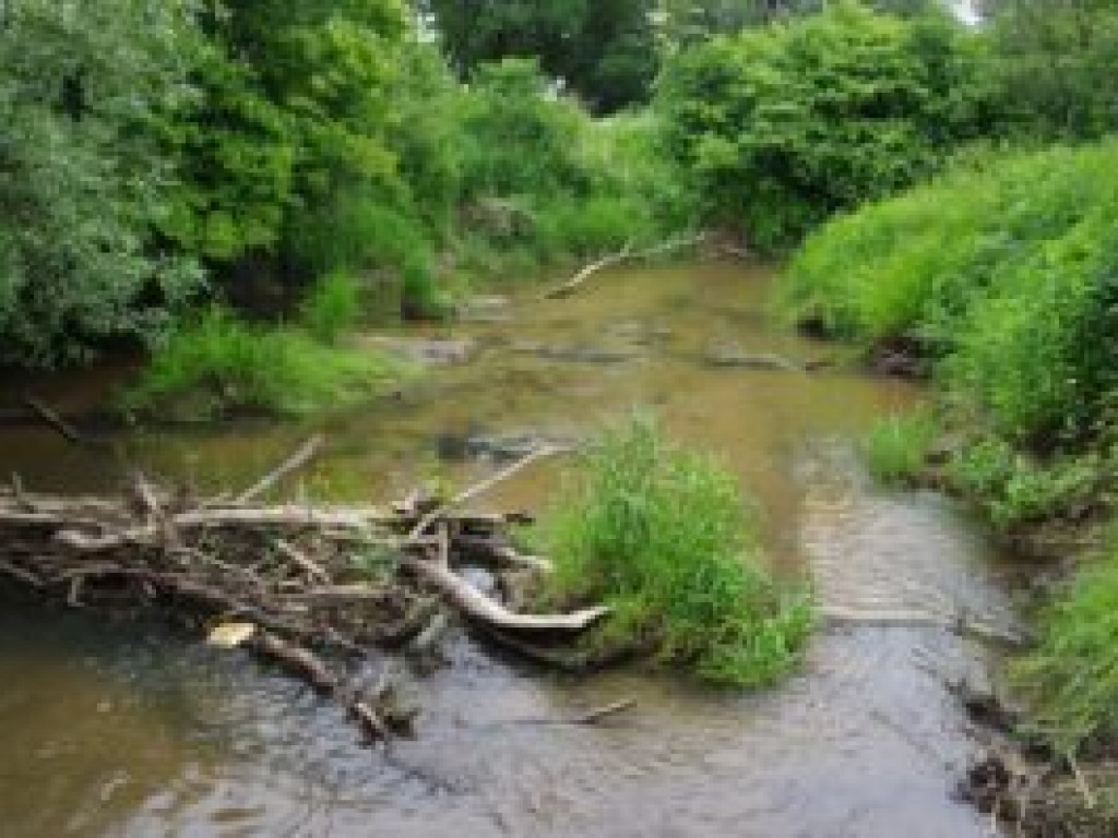 Kajakiem po Koprzywiance. Przygotowania do uruchomienia spływów już ruszyły [zdjęcia]