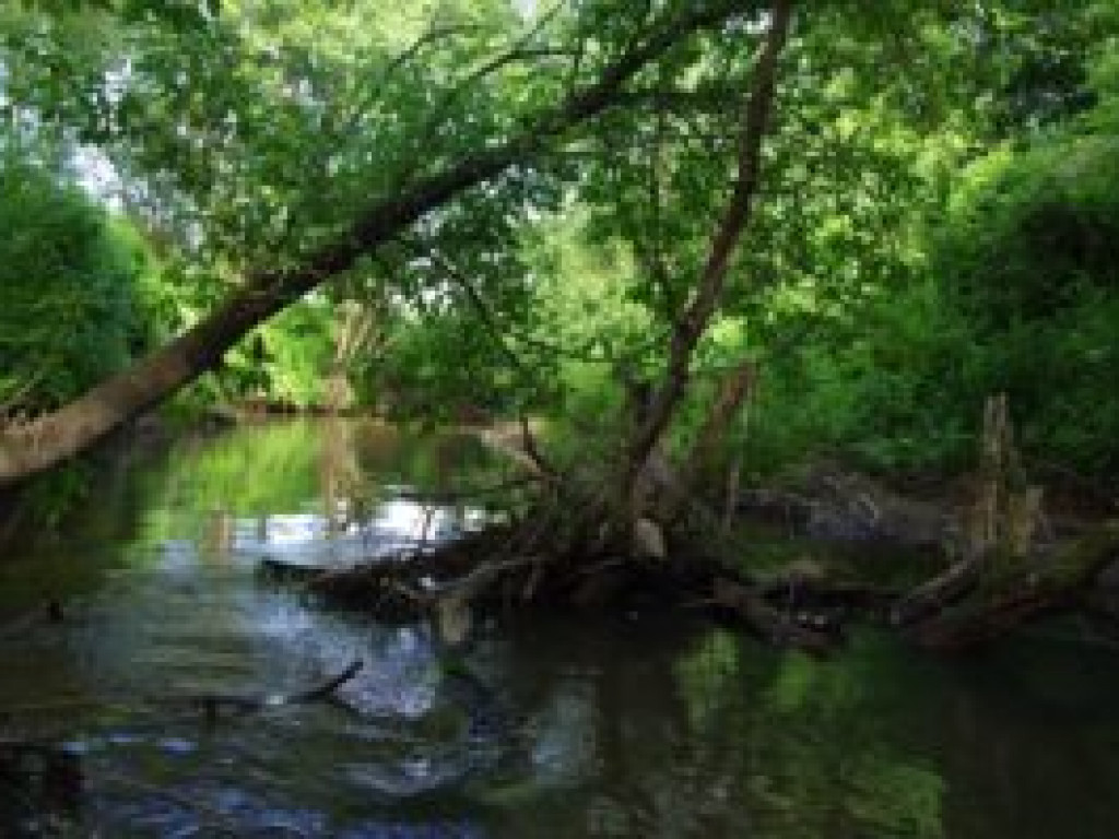 Kajakiem po Koprzywiance. Przygotowania do uruchomienia spływów już ruszyły [zdjęcia]