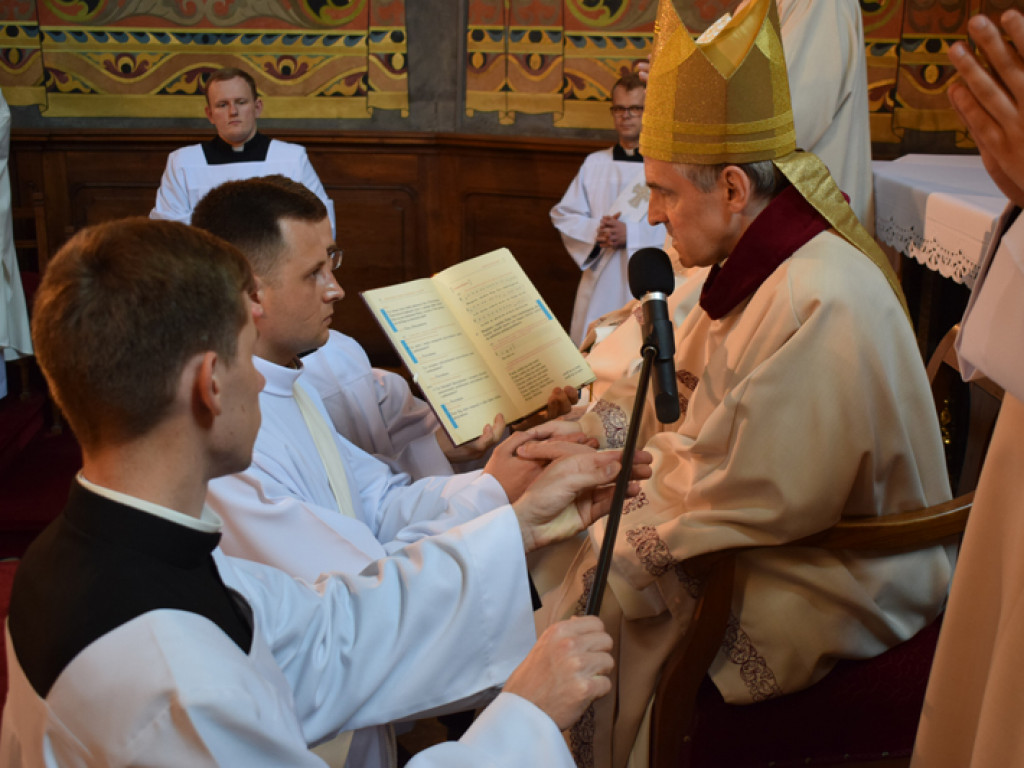 Sandomierz. Diecezja ma nowych kapłanów [zdjęcia]
