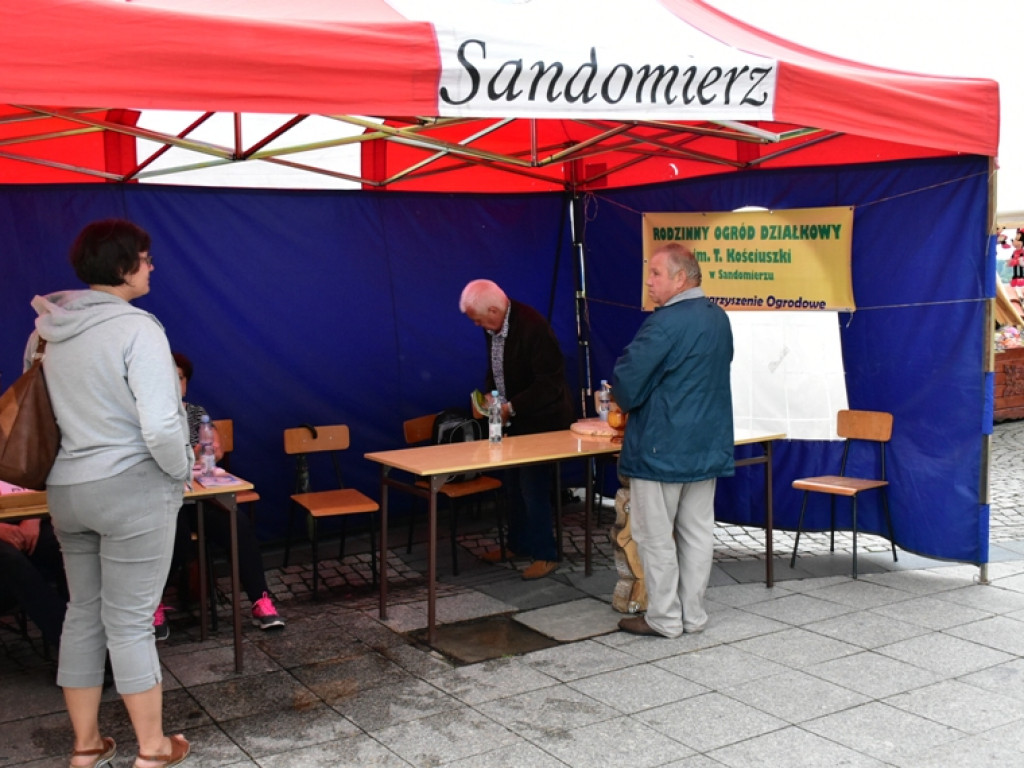 Sandomierz. Atrakcje na powitanie wakacji [zdjęcia]