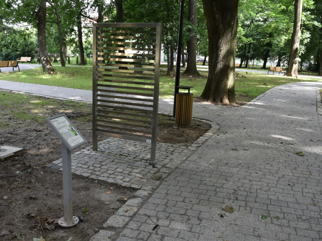 Sandomierz. Prace w parku zakończone. Ruszyła fontanna [zdjęcia]