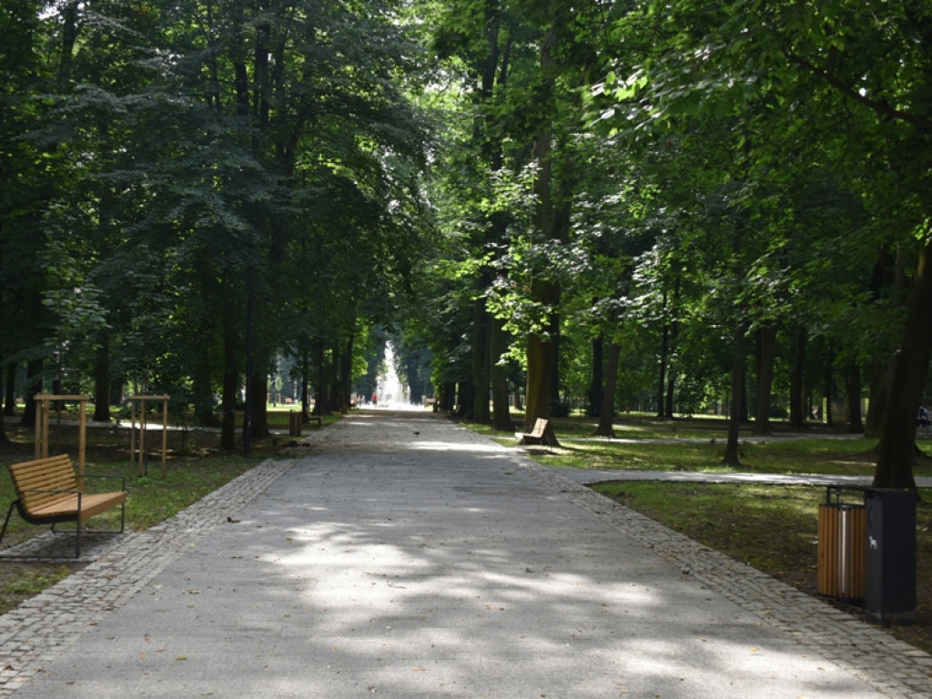 Sandomierz. Prace w parku zakończone. Ruszyła fontanna [zdjęcia]