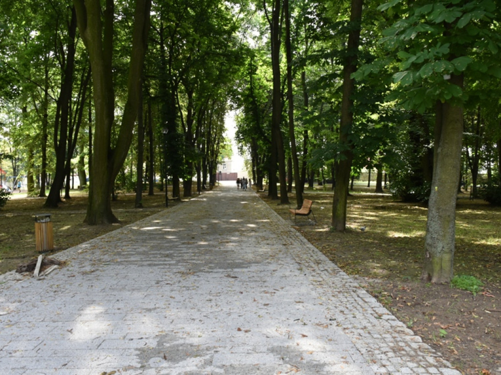 Sandomierz. Prace w parku zakończone. Ruszyła fontanna [zdjęcia]