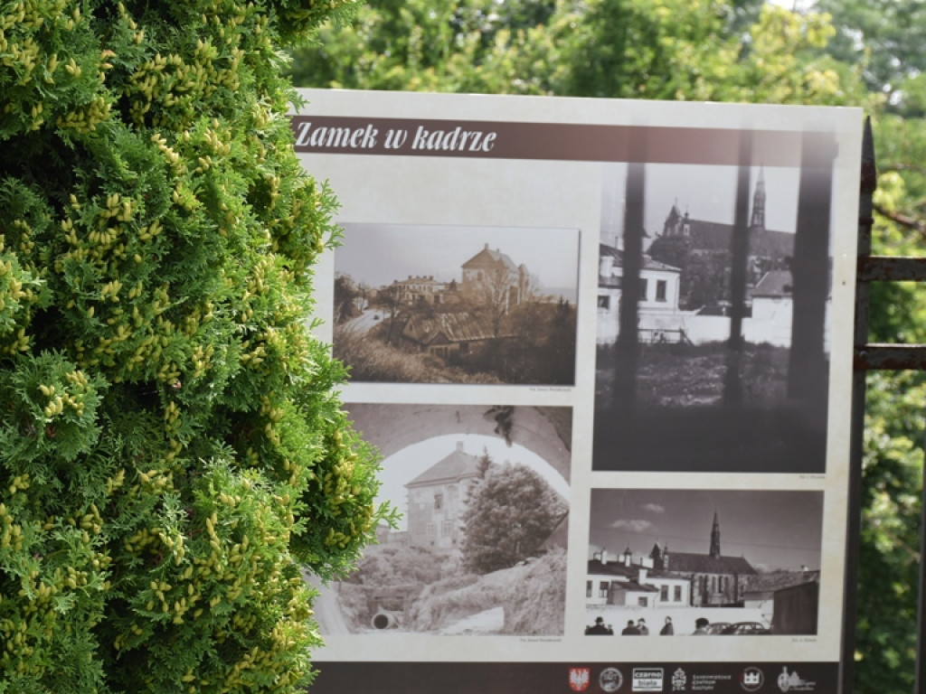 Dawny Sandomierz na plenerowej wystawie [zdjęcia]