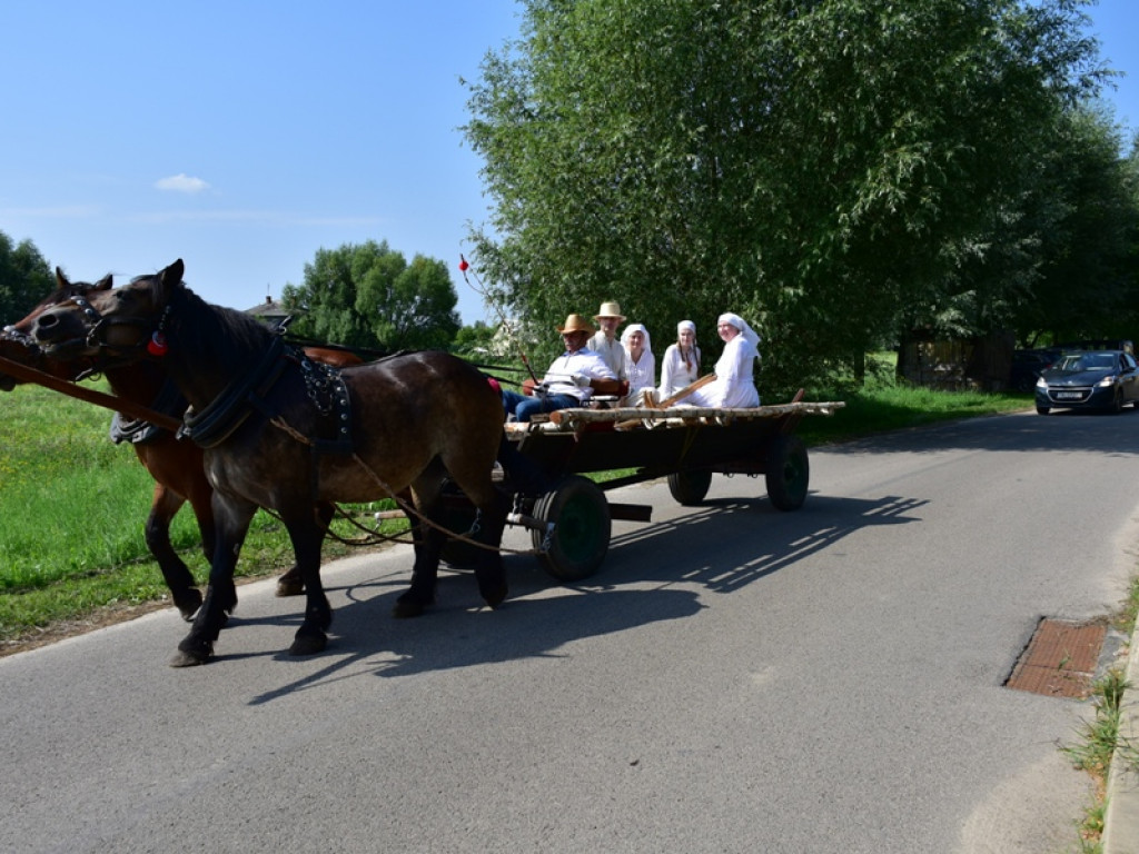 Sandomierz. Staropolskie żniwa w Nadbrzeziu [zdjęcia]