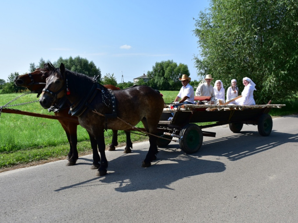 Sandomierz. Staropolskie żniwa w Nadbrzeziu [zdjęcia]