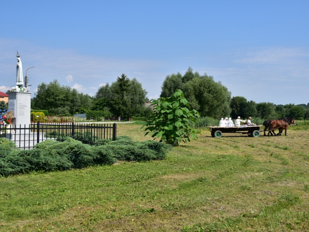 Sandomierz. Staropolskie żniwa w Nadbrzeziu [zdjęcia]
