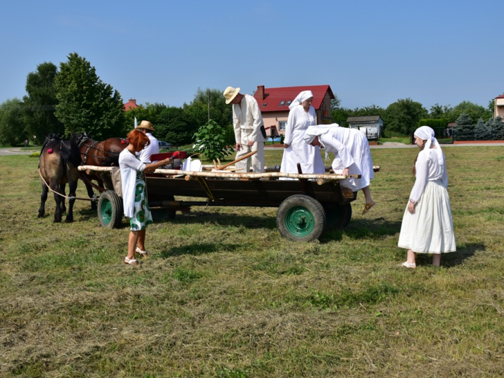 Sandomierz. Staropolskie żniwa w Nadbrzeziu [zdjęcia]