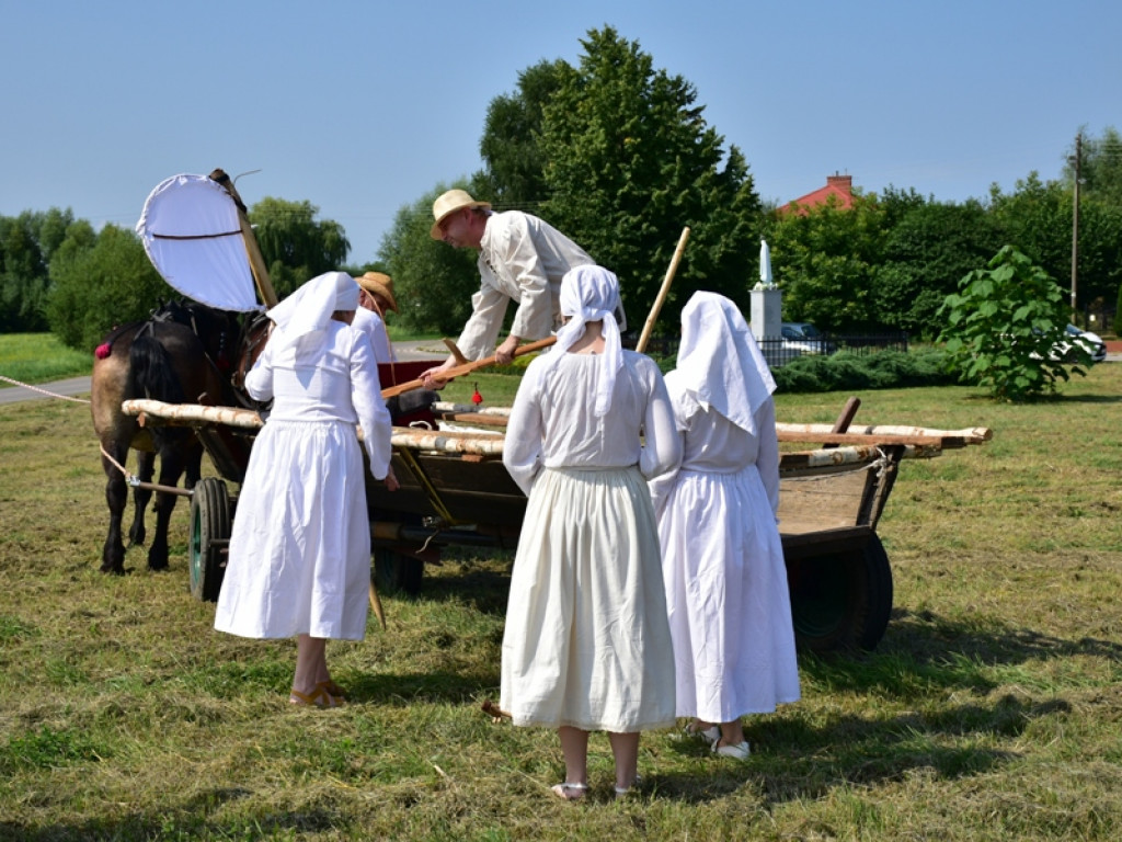Sandomierz. Staropolskie żniwa w Nadbrzeziu [zdjęcia]