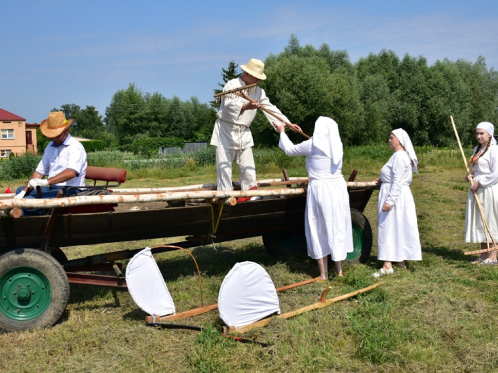 Sandomierz. Staropolskie żniwa w Nadbrzeziu [zdjęcia]